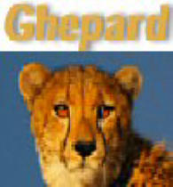Il ghepard software gestionale per le agenzie di recupero crediti
