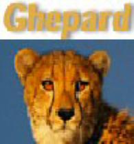 Il ghepard software gestionale per le agenzie di recupero crediti